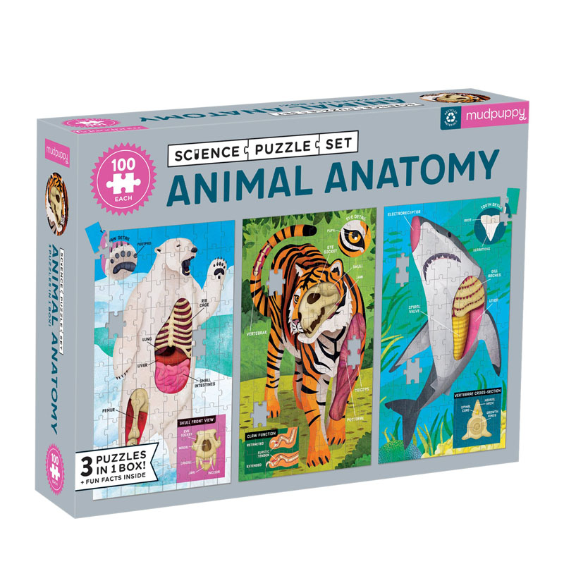 Animal Anatomy Puzzle