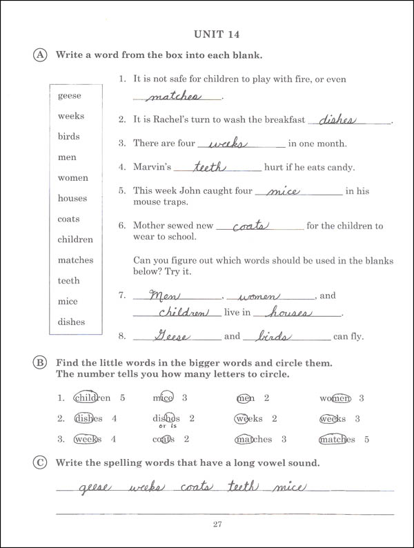 Top essay class image