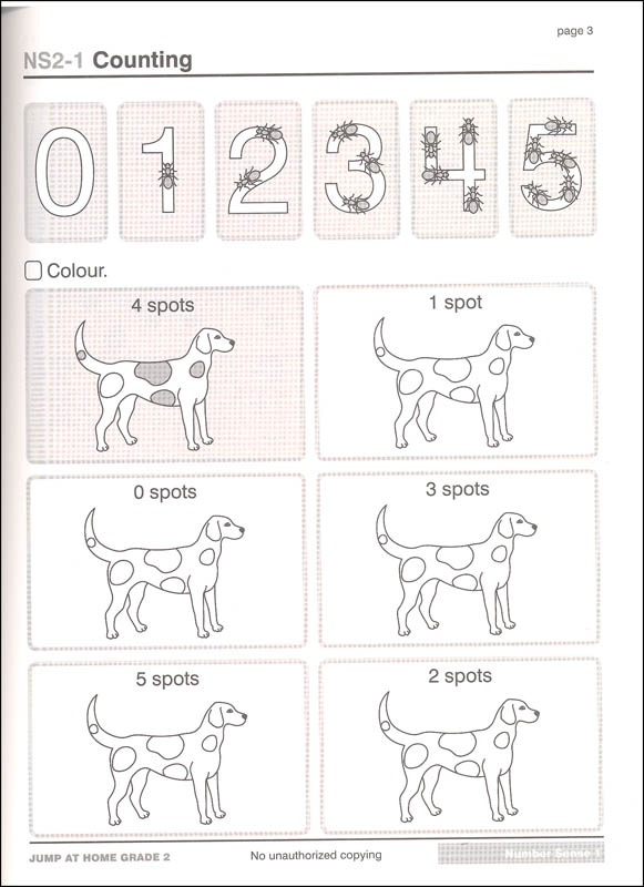 jump at home grade 2 worksheets for the jump math program house of