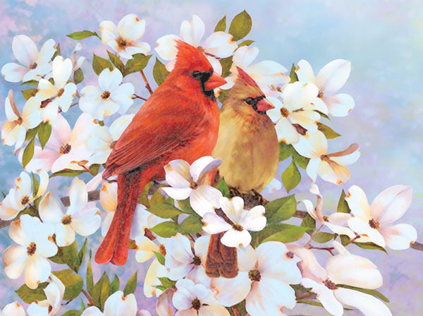 Colour Pencil By Numbers - Cardinals