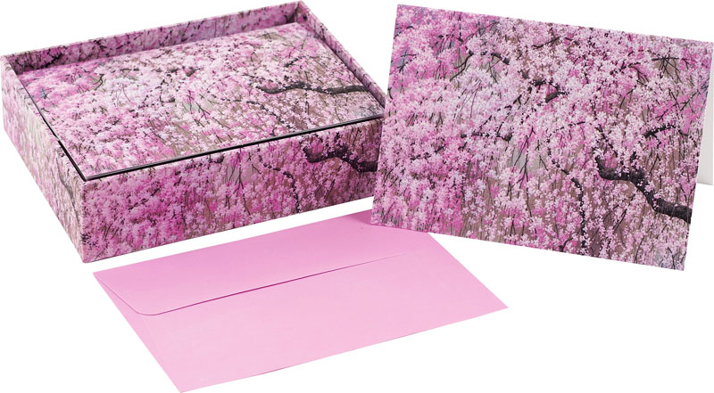 Cherry Blossoms Boxed Note Cards