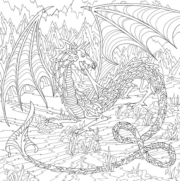 Dragons Artist's Coloring Book | Peter Pauper Press | 9781441319777