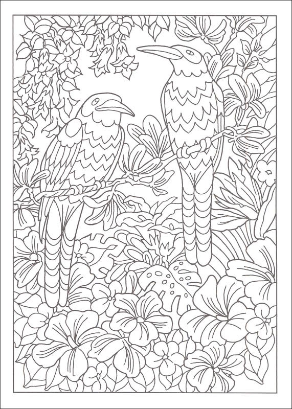 Paradise Designs Coloring Book (Creative Haven) | Dover Publications ...