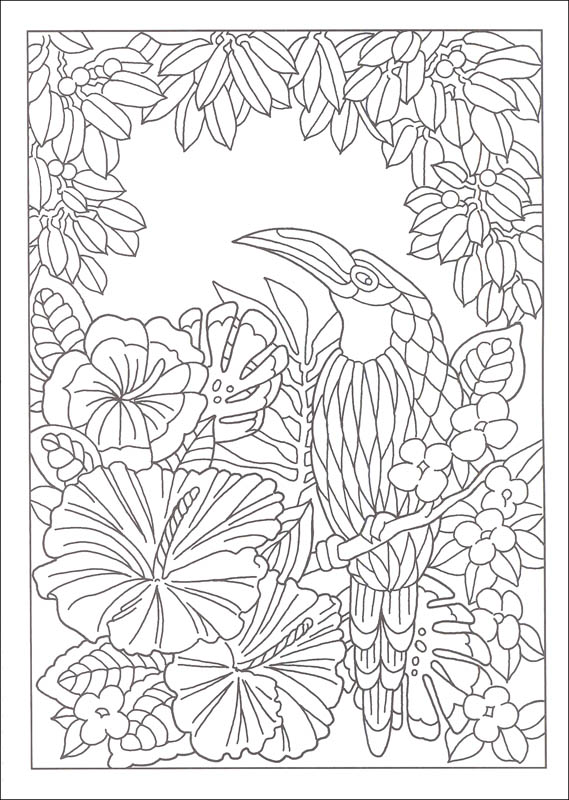 Paradise Designs Coloring Book (Creative Haven) | Dover Publications ...