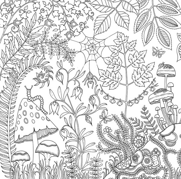 enchanted forest an inky quest & coloring book