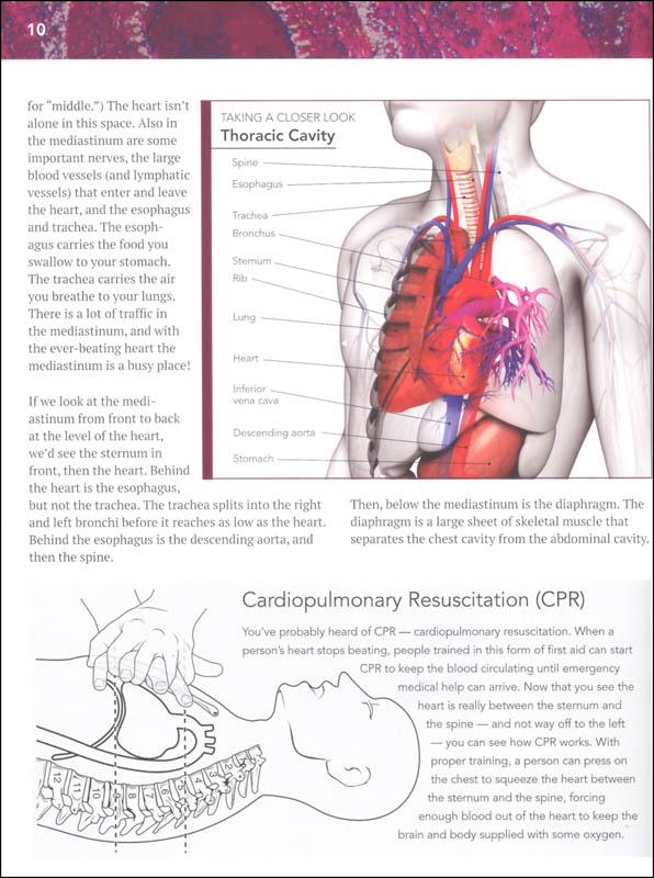 Cardiovascular and Respiratory Systems Vol. 2 (Wonders of the Human
