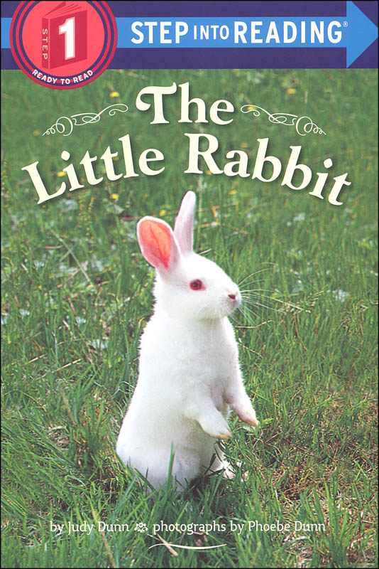 Little Rabbit Step Into Reading Level 1 Random House Children S Books