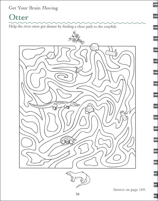 Brain Games - Mazes | Publications International | 9781450802291