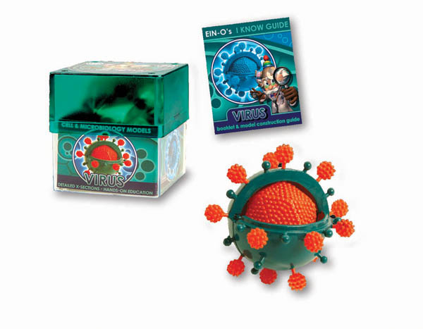 Virus (Cell & Microbiology Model)