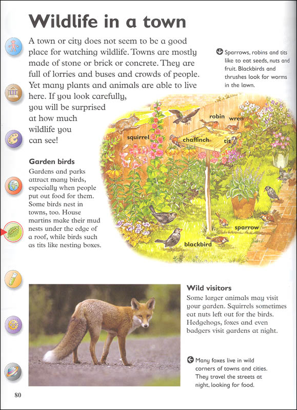 Oxford First Encyclopedia Oxford University Press 9780199119950