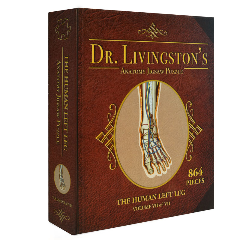 Dr. Livingston's Anatomy Jigsaw Puzzle: Human Left Leg