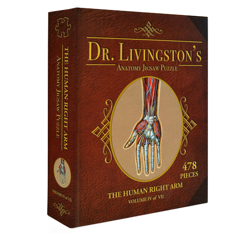 Dr. Livingston's Anatomy Jigsaw Puzzle: Human Right Arm
