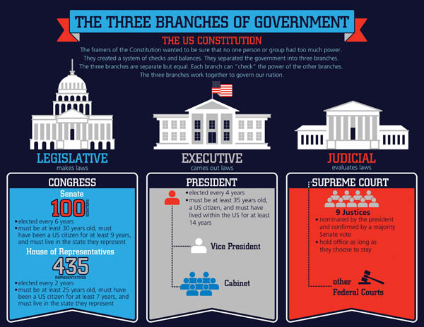 3 branches of government tree