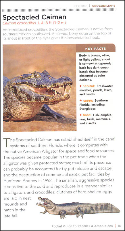 Pocket Guide to Reptiles and Amphibians of North America | National ...