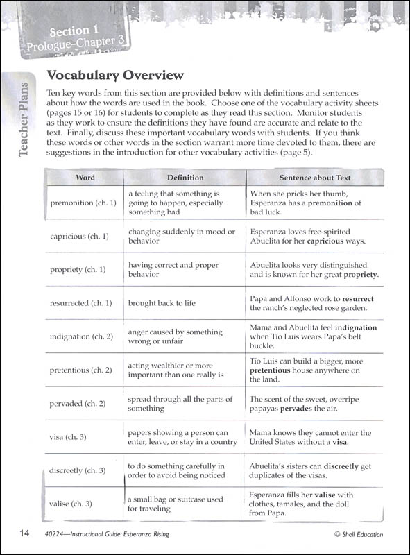 Esperanza rising literary essay picture