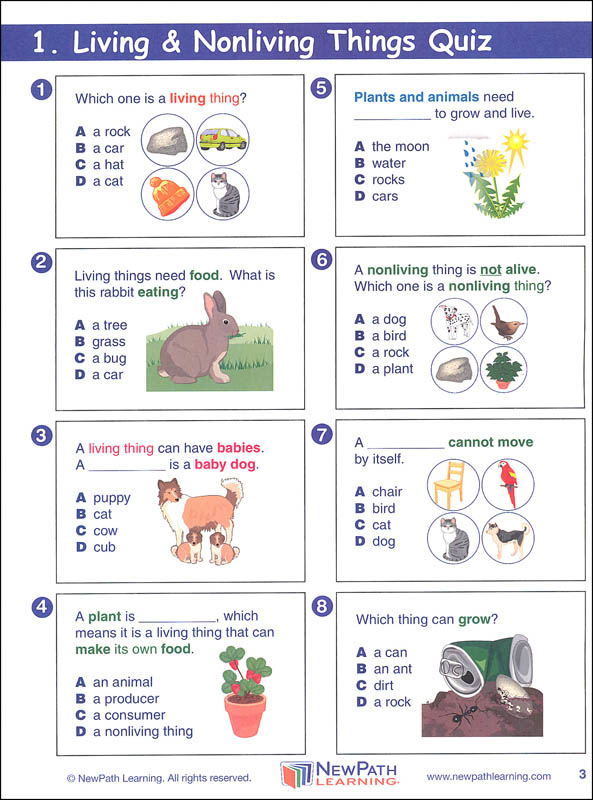 science graphic organizer grade 1 newpath learning