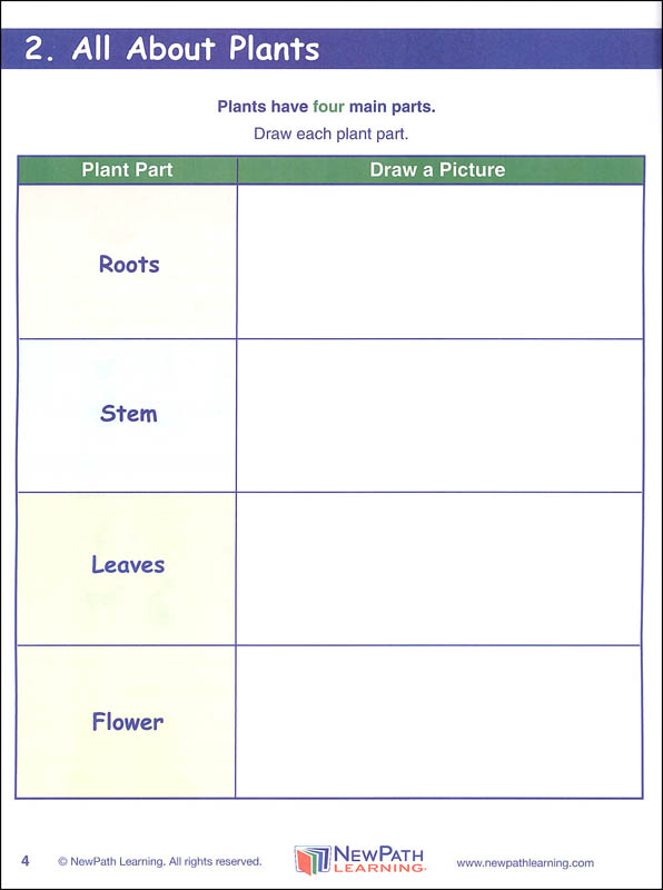 Science Graphic Organizer Grade 1 NewPath Learning