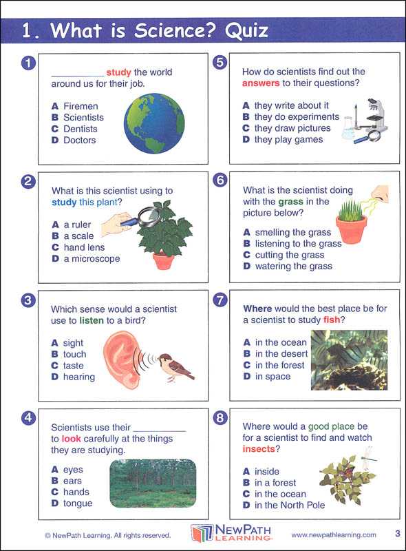 Science Graphic Organizer Grade 2 NewPath Learning