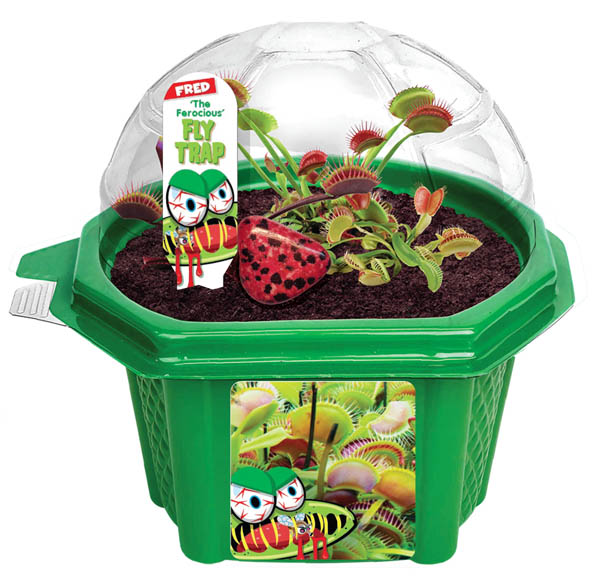 Fred Fly Trap (Character Mini Dome Terrariums) Toys By Nature