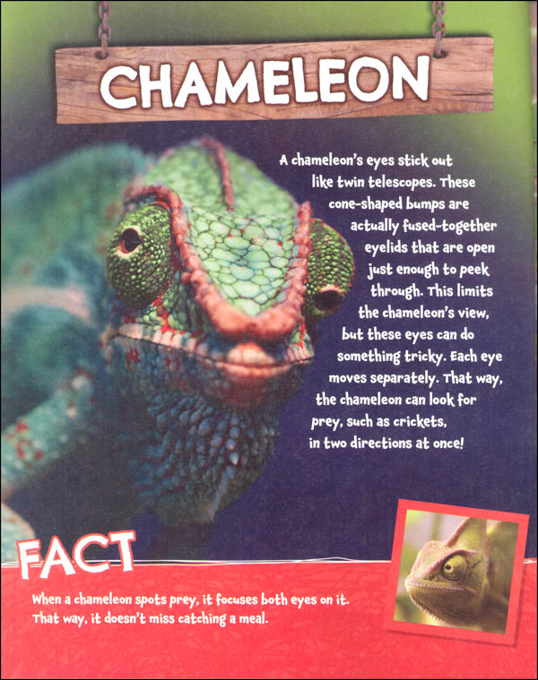 What If You Had Animal Eyes? Scholastic 9781338101089