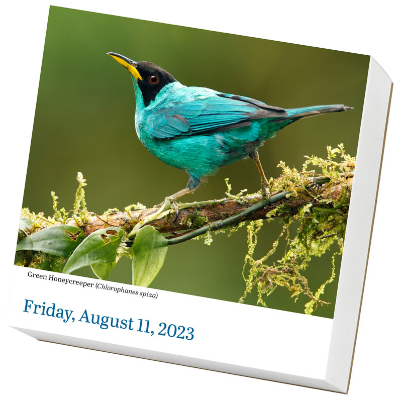 audubon-birds-2023-page-a-day-calendar-workman-publishing-company-9781523515783