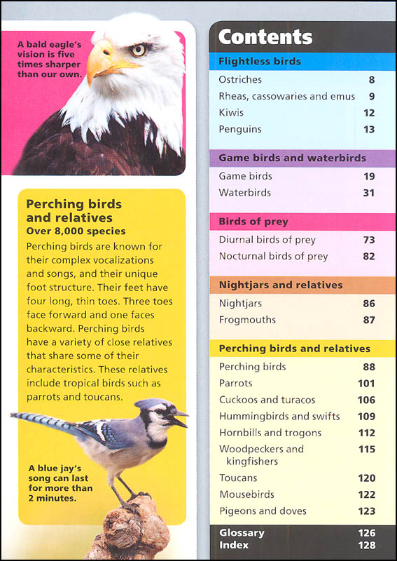 Birds (Pocket Books) Kane/Miller Publishers 9781610673853