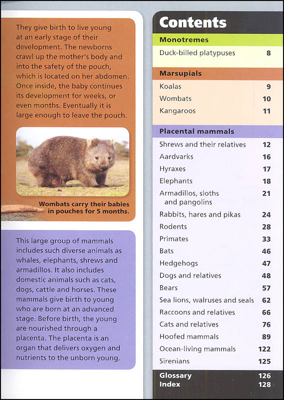 Mammals (Pocket Books) | Kane/Miller Publishers | 9781610673495