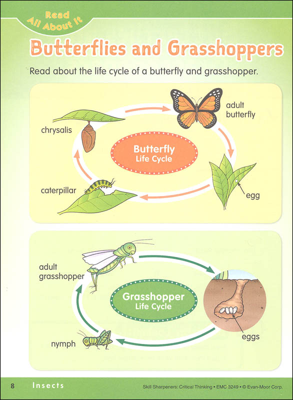 Skill sharpeners critical thinking pdf picture