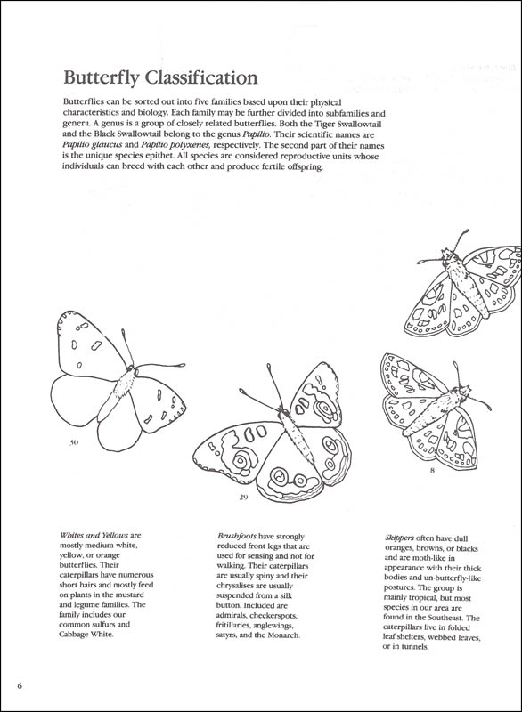 Butterflies of North America: An Activity and Coloring Book | Roberts ...