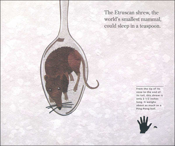 Biggest, Strongest, Fastest HMH Books for Young Readers 9780395861363