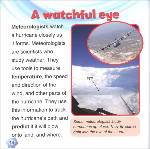 Hurricane experience essay image