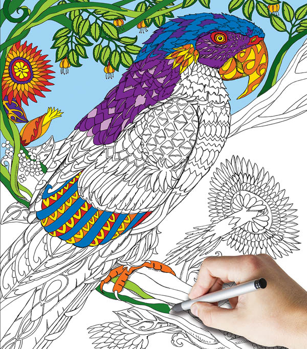 Parrot Coloring Jigsaw Puzzle (300 piece) | White Mountain Puzzles