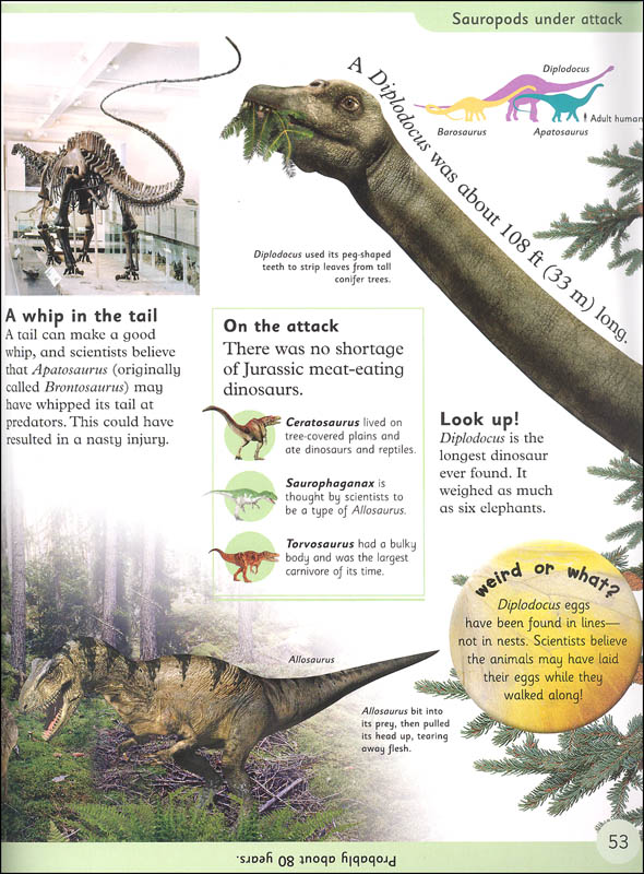 dinosaur encyclopedia amazon