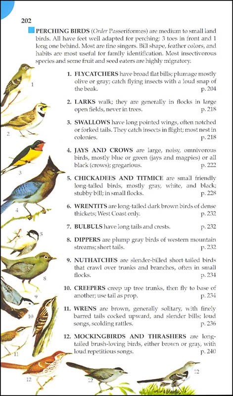 Birds of North America: Guide to Field Identification | St. Martin's ...