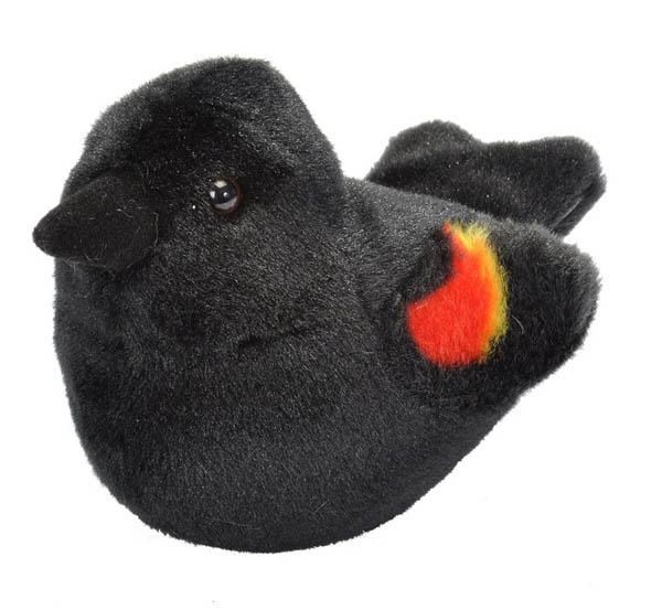 wild republic birds with real bird calls