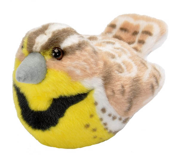 wild republic birds with real bird calls