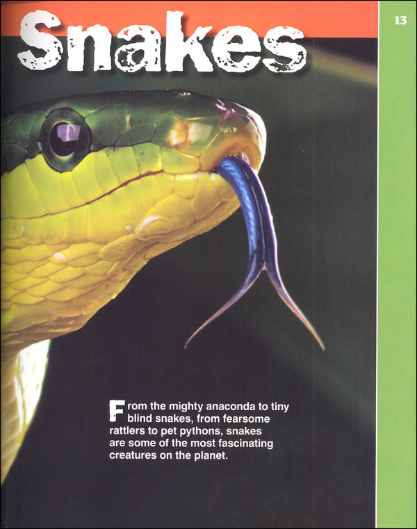 Discovery Snakeopedia Complete Guide to Everything Snake Time Inc