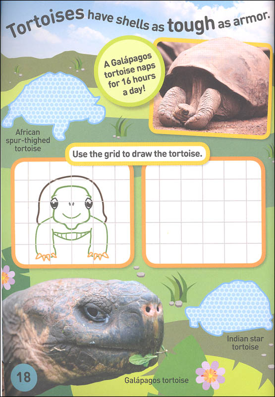 National Geographic Kids Reptiles And Amphibians Sticker Activity Book ...