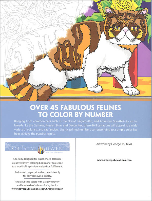 Cats Color By Number Coloring Book Creative Haven Dover Publications 9780486818535,Crock Pot Tofu Tikka Masala