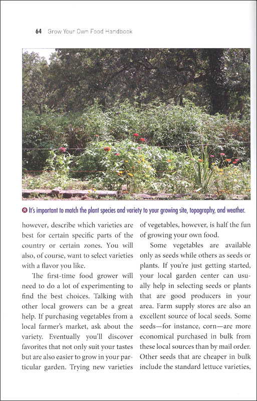 Grow Your Own Food Handbook Back To Basics Guide To Planting Growing