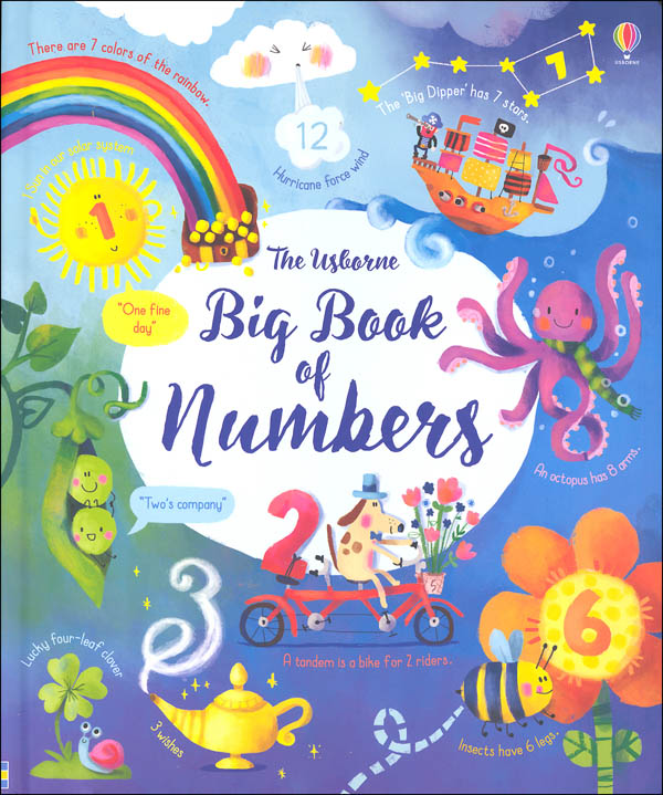 Big Book of Numbers (Usborne) EDC / Usborne 9780794543389