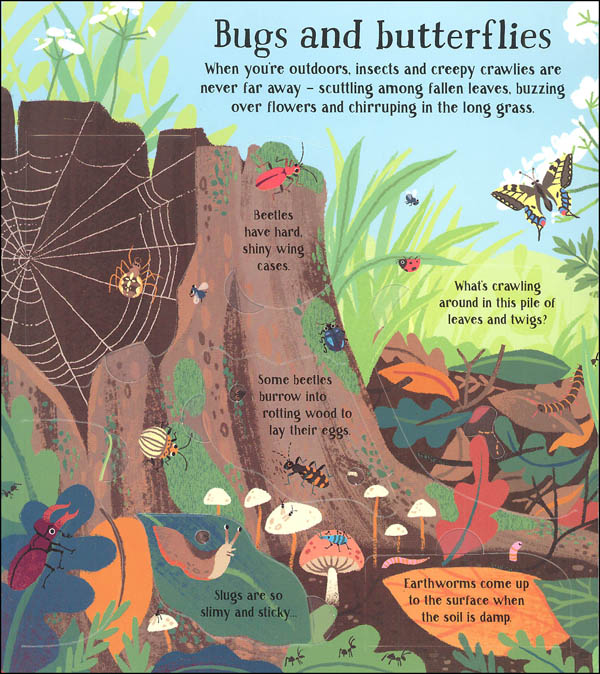 Look Inside Nature (Usborne) | EDC / Usborne | 9780794542887