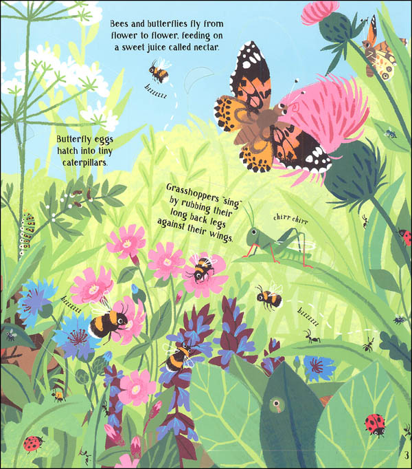 Look Inside Nature (Usborne) | EDC / Usborne | 9780794542887