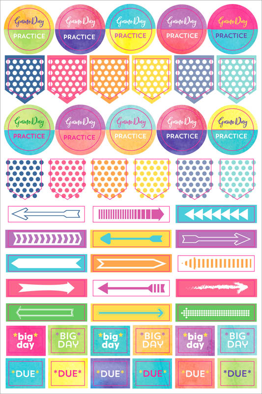 Student Planner Stickers Peter Pauper Press 9781441327710