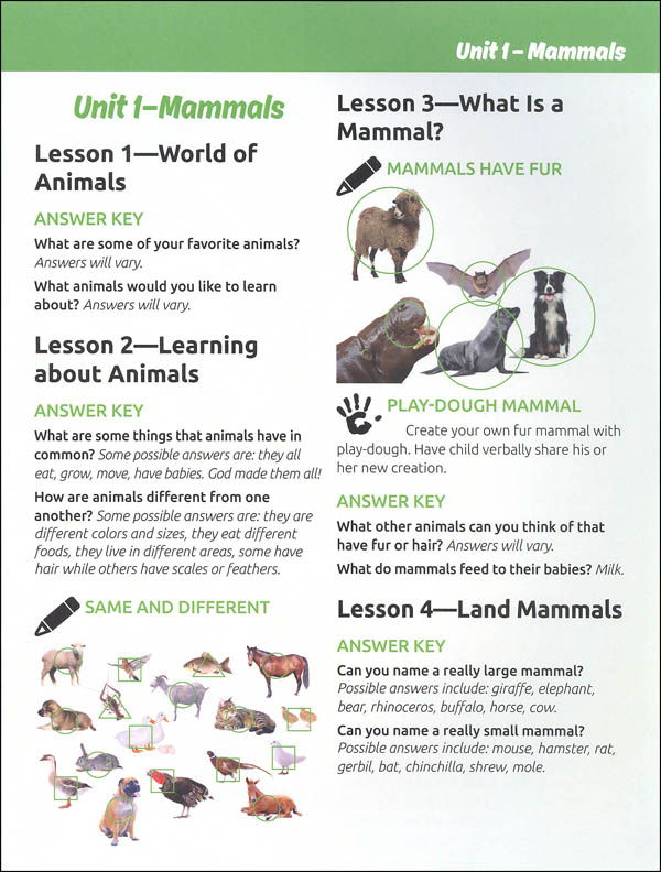 Animals for Beginners Teacher Supplement (God's Design for Life for  Beginners) | Answers in Genesis | 9781626914346