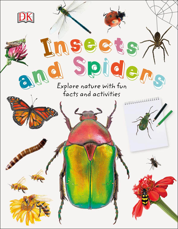 Insects and Spiders (Nature Explorers)