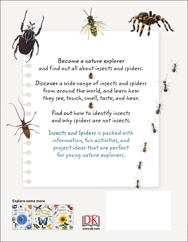 Insects and Spiders (Nature Explorers) | Dorling