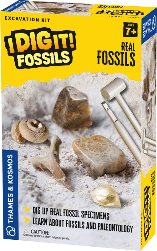 Real Fossils Excavation Kit (I Dig It! Fossils)