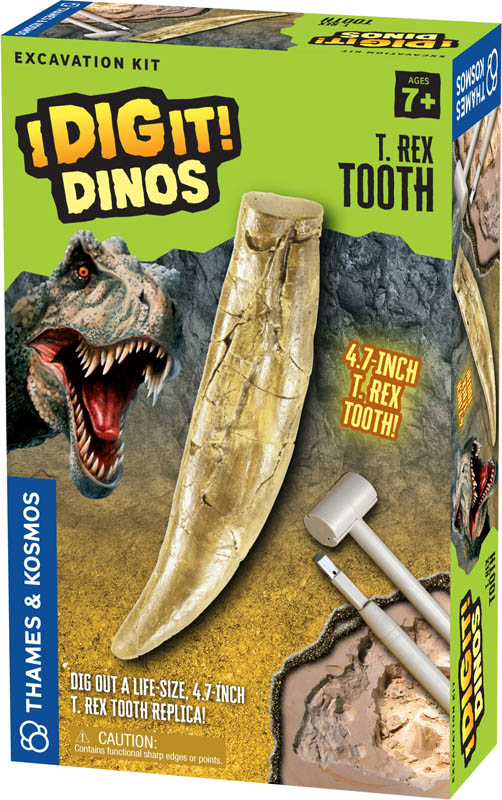 T. Rex Tooth Excavation Kit (I Dig It! Dinos)