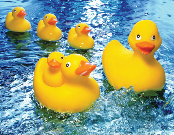 Rubber Duckies Puzzle (60 pieces)